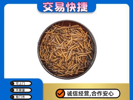 沈阳礼品回收虫草.jpg